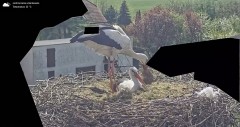 IMG_7683.jpeg