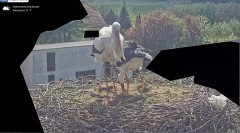 IMG_7699.jpeg