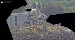 IMG_7700.jpeg