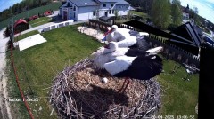 IMG_7731.jpeg