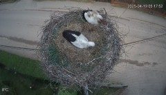 IMG_7767.jpeg