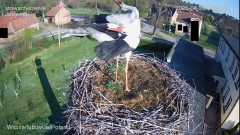 IMG_6804.jpeg