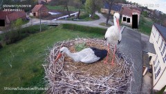IMG_6856.jpeg
