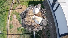 IMG_7806.jpeg