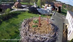 IMG_6862.jpeg