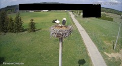IMG_7819.jpeg