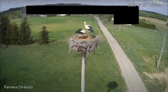 IMG_7822.jpeg