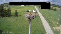 IMG_7823.jpeg