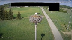 IMG_7824.jpeg