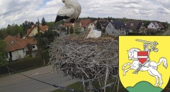 IMG_7708.jpeg