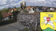 IMG_7718.jpeg