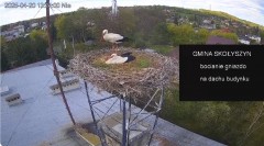 IMG_7658.jpeg
