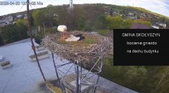 IMG_7659.jpeg