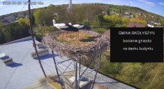 IMG_2907.jpeg