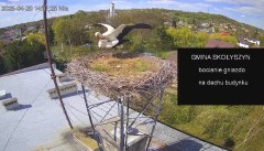 IMG_2913.jpeg