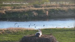 IMG_2932.jpeg