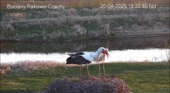 IMG_7915.jpeg