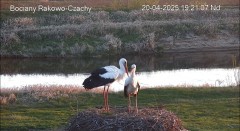IMG_7918.jpeg