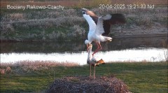IMG_7921.jpeg
