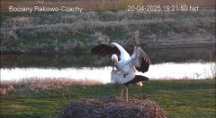 IMG_7926.jpeg