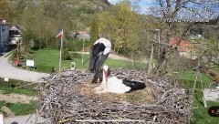 IMG_2959.jpeg