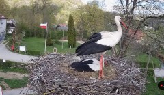 IMG_2965.jpeg