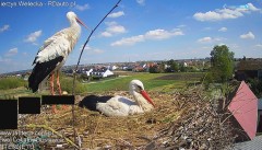 IMG_7598.jpeg