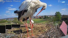 IMG_7633.jpeg