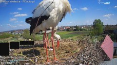 IMG_7634.jpeg