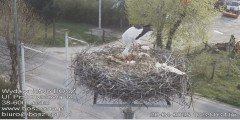 IMG_7841.jpeg