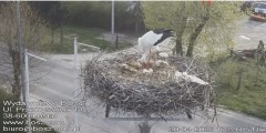 IMG_7842.jpeg