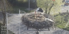 IMG_7851.jpeg