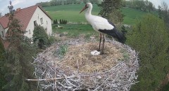 IMG_7751.jpeg