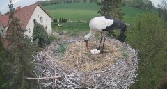 IMG_7752.jpeg