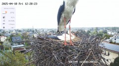 IMG_7453.jpeg