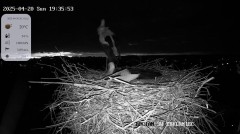 IMG_7961.jpeg