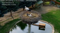 IMG_7966.jpeg