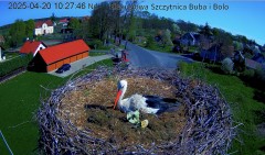IMG_7969.jpeg