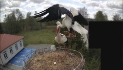 IMG_8172.jpeg