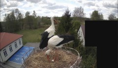 IMG_8177.jpeg