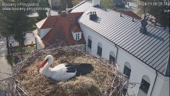 IMG_6915.jpeg