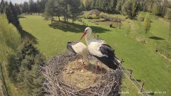 IMG_8091.jpeg