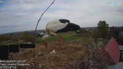 IMG_8200.jpeg