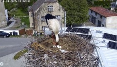 IMG_8124.jpeg