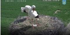IMG_8263.jpeg