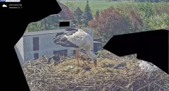 IMG_8111.jpeg