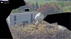 IMG_8114.jpeg