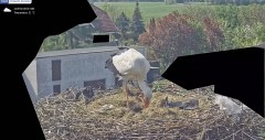 IMG_8143.jpeg