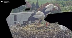 IMG_8259.jpeg