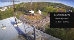 IMG_8154.jpeg